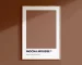 Pantone Mocha Mousse, colore 2025